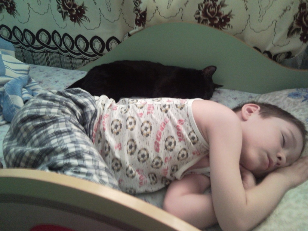 Ребенок спит с котом, child and cat in the bed