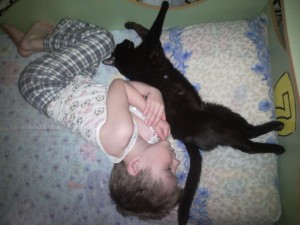 Сон ребенка и кошки, человек спит с котом, Child and cat sleep