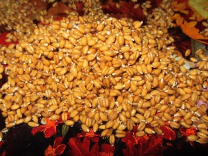 Целительные свойства пророщенной пшеницы, Вред пророщенной пшеницы, Противопоказания употреблению проростков пшеницы, 