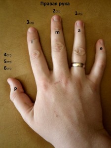 Обозначение пальцев рук для игры на гитаре для правой руки.
