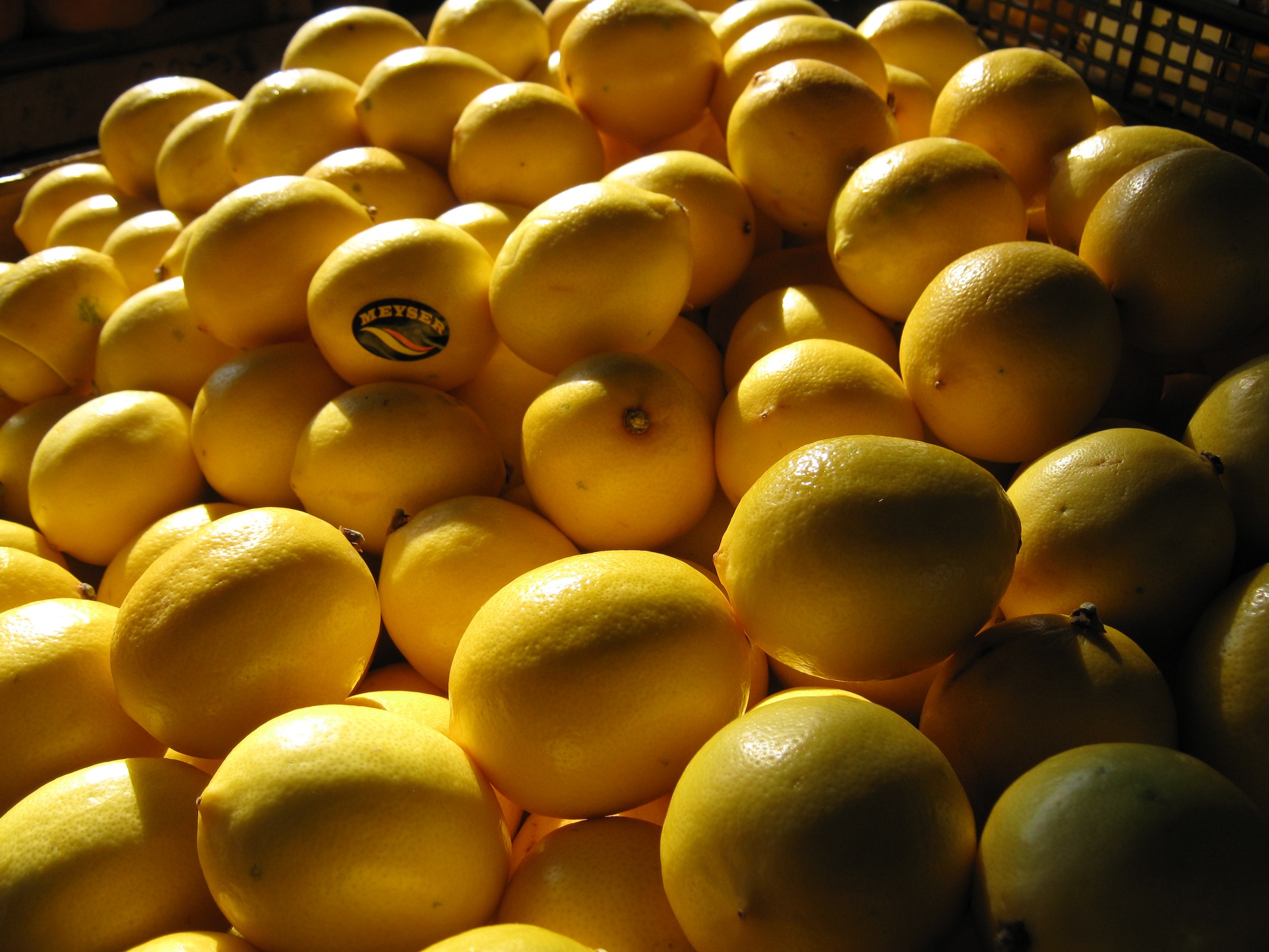 Лечение болезней соком лимона, Лимонный сок для укрепления волос и ногтей, Лимон с чесноком польза, Лечебные свойства лимонного сока,