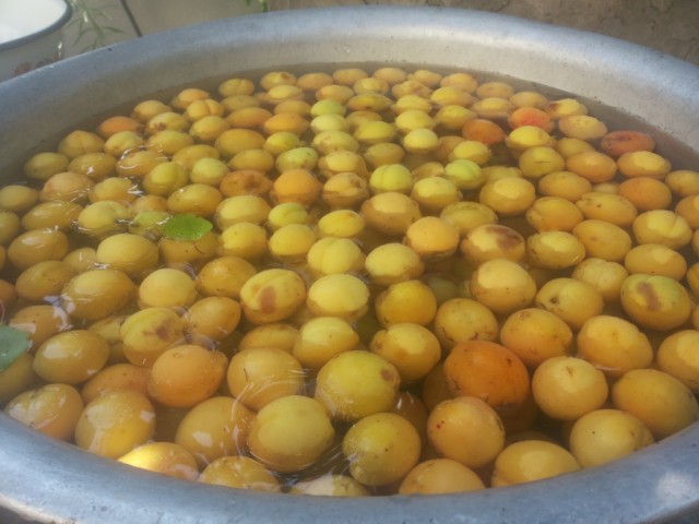 abrikosy v vode