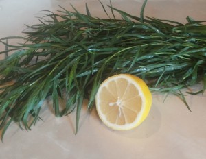 trava tarhun s limonom